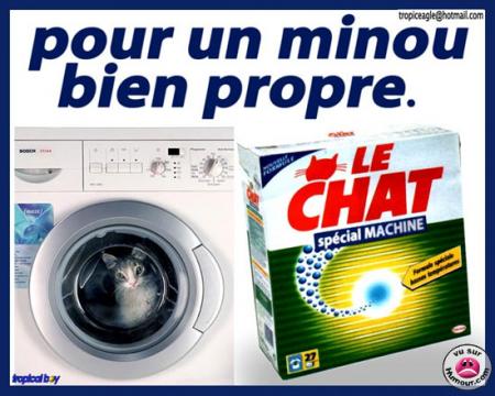 Pour tous ce qui on un chat